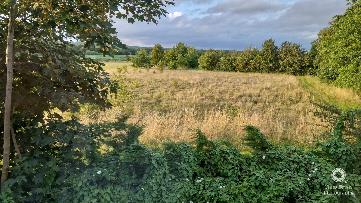 ChrisL_Photo's tweet photo. My window view from a Premier Inn a few weeks ago, I was lucky to have woken up to this. ๐๐#England #UK #tauton #PremierInn #weekend #WeekendAway #Trees #farmland #field #green #beautifulday #beautiful #beautifulcountry #beautifulmorning #sunny #SunOut https://t.co/Pp0EdUFL1W