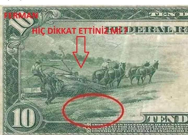 onnturkiye's tweet photo. ☑️Eskiden doların gücü kenevir ekiminden geliyordu. 

☑️Dolar banknotlarında bile kenevir hasatı varken ABD’ye serbest olan bizde neden yasaktır hiç düşündünüz mü?  

☑️Endüstriyel Kenevir sadece bir tarım bitkisi değil Petrolün ve doların panzehridir! Kenevir mucizesi ve ABD’nin oyunu…

☑️Fotoğraf: Yıl 1914 I.Dünya savaşı yılları ve Amerikan doları üzerinde "Kenevir" tarımı yapan çiftçiler...   

☑️Bunu aklınızın bir köşesinde tutunuz ve okumaya devam ediniz.  KENEVİR NASIL YASAKLANDI?  

☑️1. Bir dönümlük kenevir, 25 dönümlük orman kadar oksijen üretir.