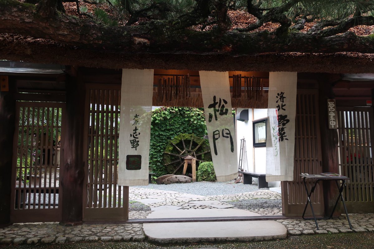 今日は京都の三千院と寂光院へ。こまかな雨が降っていて、しっとり美しい庭園が見られました🌿