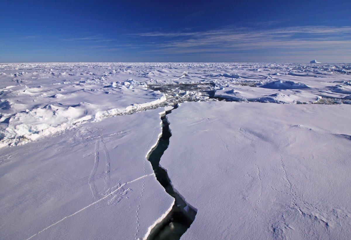 Heatwaves, record low sea ice, ice shelf collapse and species crashes are threatening the globally important #Antarctic environment

Only rapid emissions reductions can prevent Antarctic extreme events from becoming more frequent and intense in future

frontiersin.org/articles/10.33…