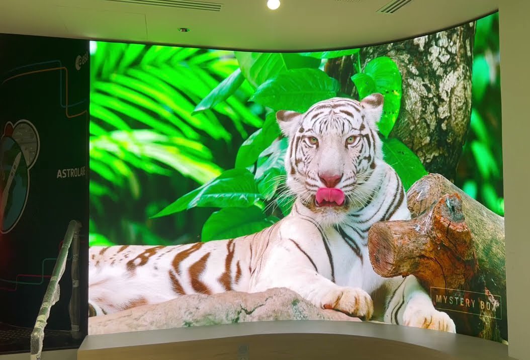 Dynamo LED Displays (💙,🧡) tweet media