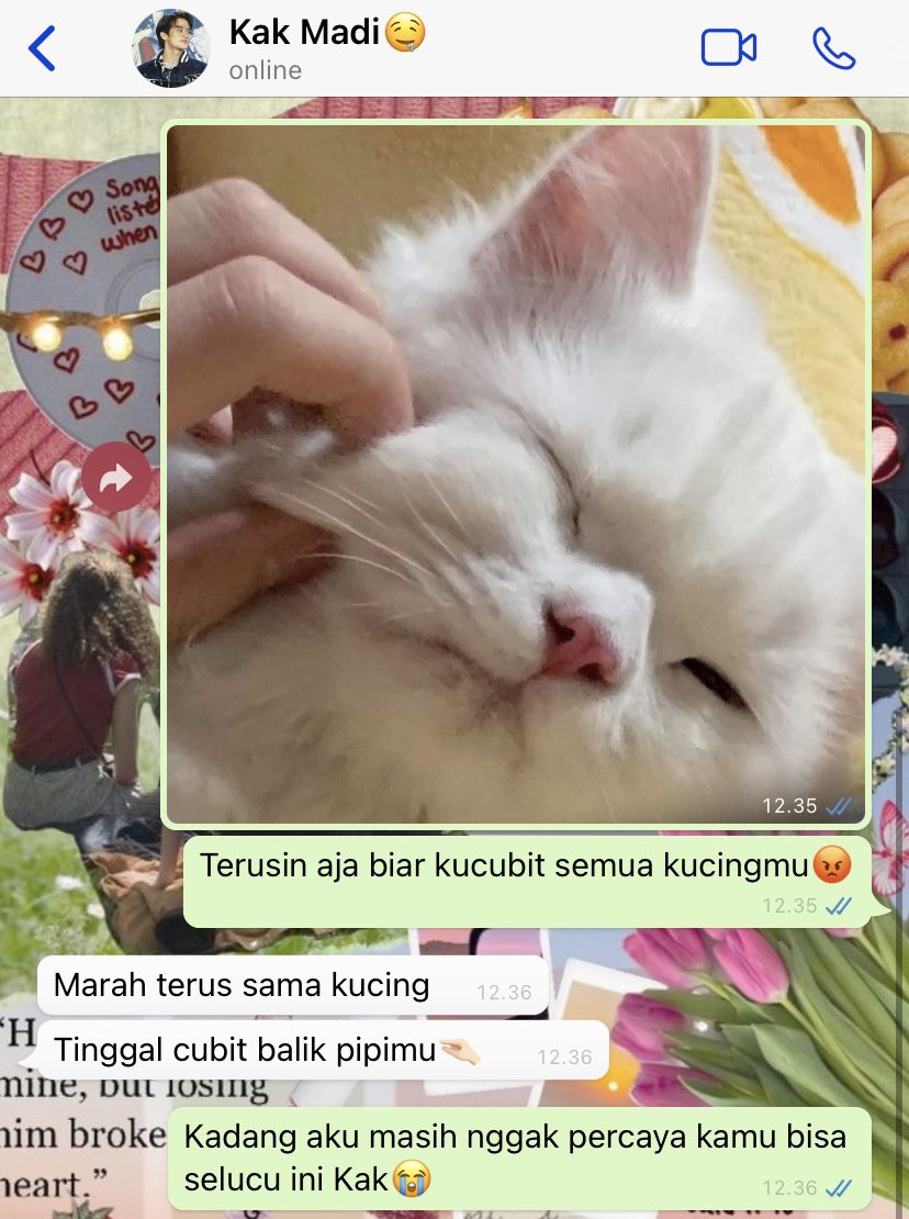 sweetxilarious's tweet image. #MaMer Pacaran 😾