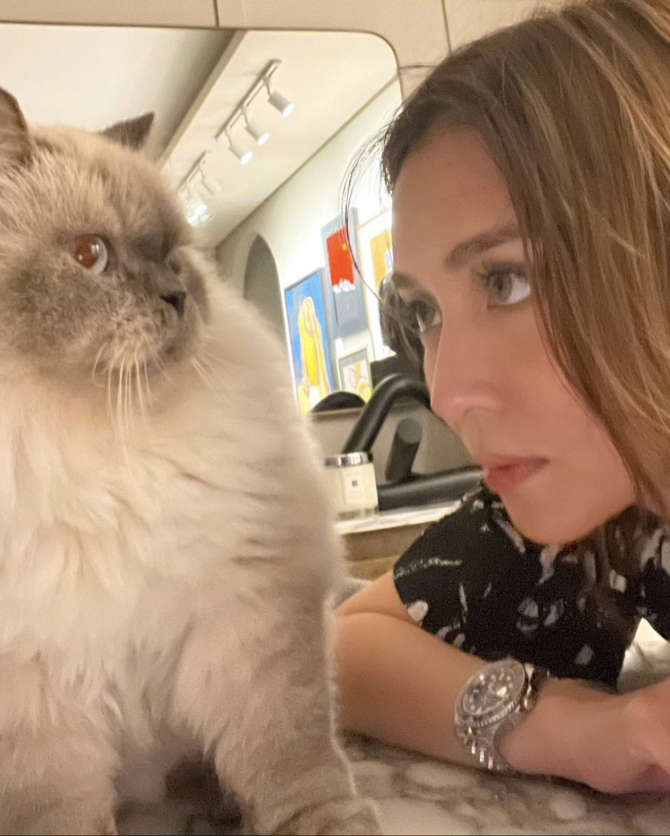 bernardokath's tweet photo. Kath vs cat 👀 https://t.co/hsSP9RTXXa