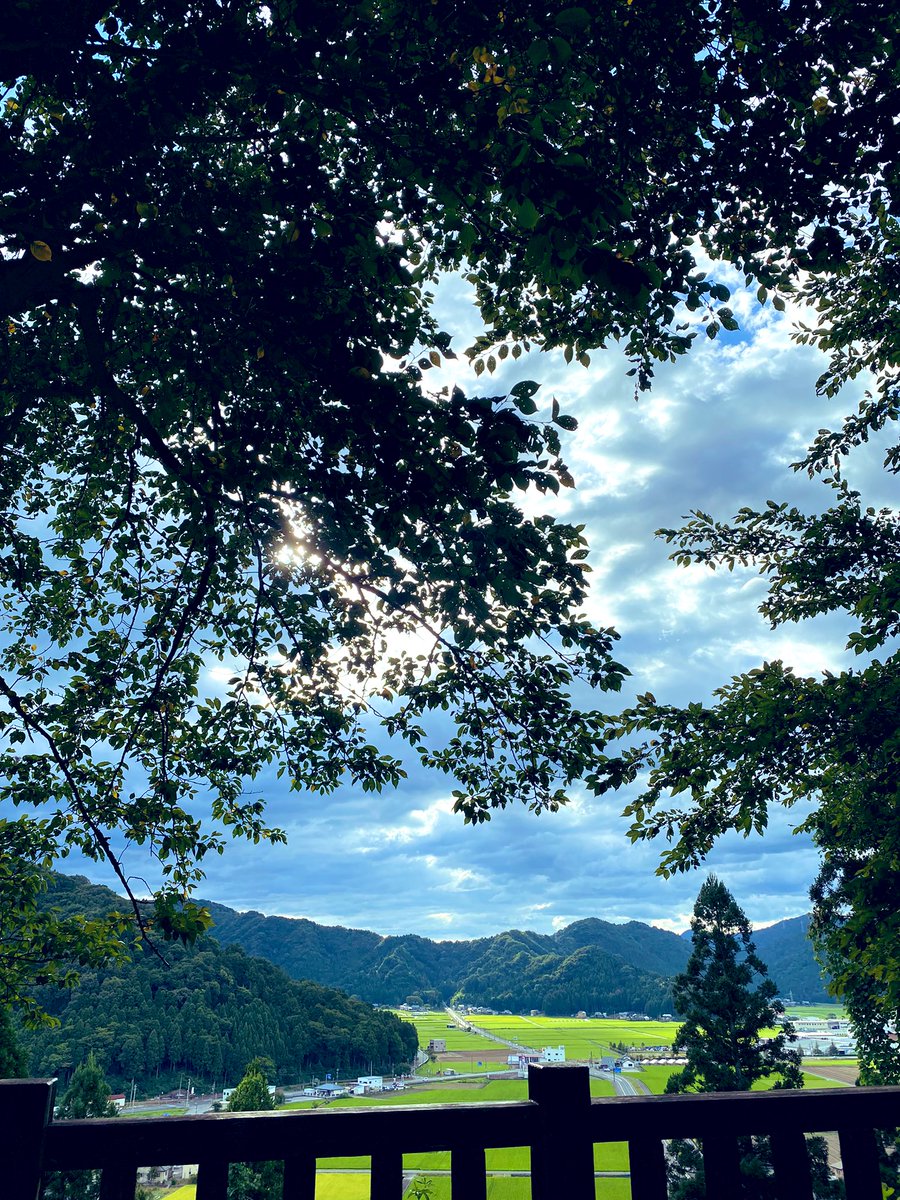 YUKARI_ORACLE's tweet photo. お気に入りの場所で読書楽しかった💕
木が沢山あって、涼しい場所✨ https://t.co/FHt2D8ljik