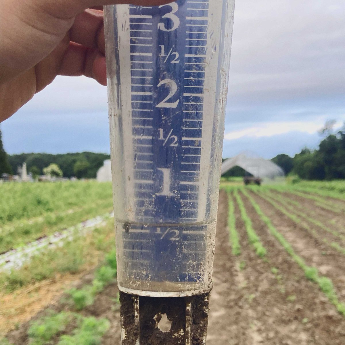 Good morning folks! Another half inch of precip fell overnight with possibly more on the way. #mawx #wx #weather #rain #precip #BardwellFarm #season2023 #agriculture #aglife #farmlife