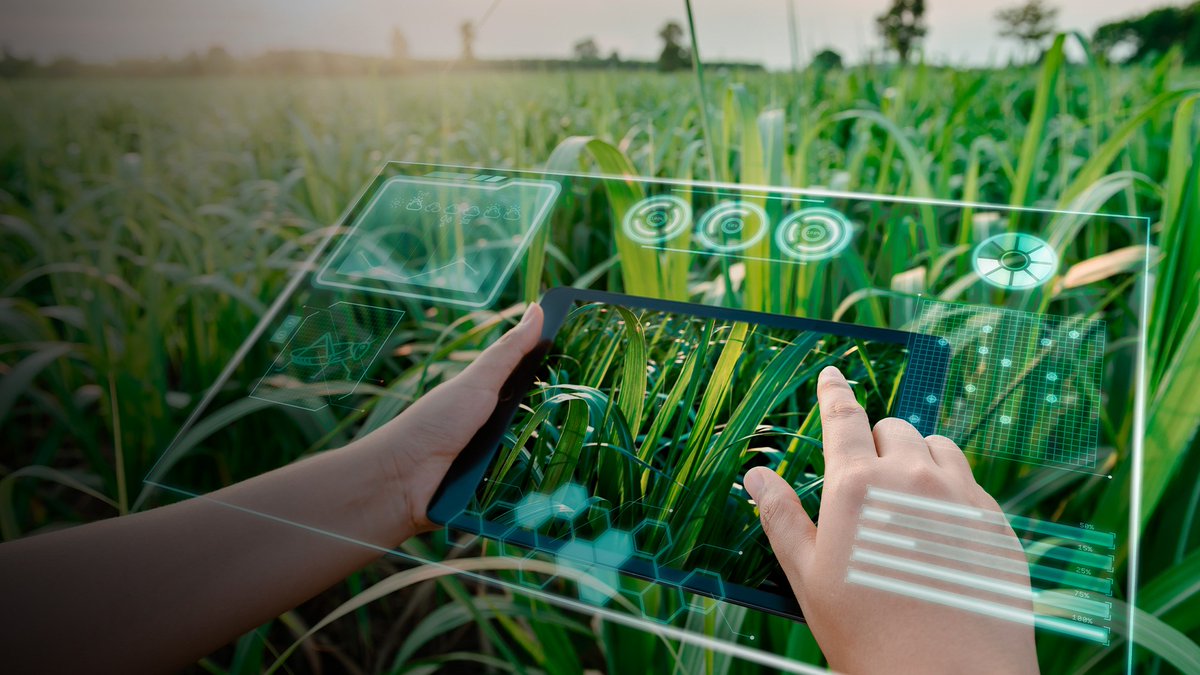 Merkitse kalenteriin! 17.10.2023 Business Finland ja <a href="/SuomenAkatemia/">Suomen Akatemia | Research Council of Finland</a> järjestävät tapahtuman, jossa keskustellaan vihreän ja digitaalisen siirtymän edellytyksistä ja näihin liittyvistä tulevaisuuden näkymistä. Tervetuloa! 

#RRF #KestäväKasvu 

direc.to/jwBP