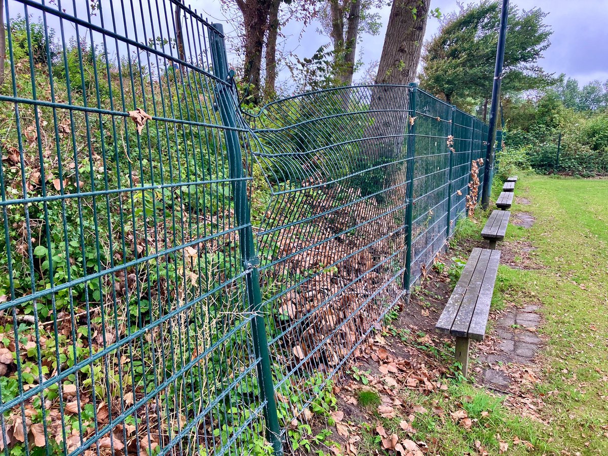 GoerieGate's tweet photo. Storm Poly was mild voor #Goeriegate, maar de snoeitroepen van de @gemeentekatwijk kenden daarna geen genade. Ons voorstel voor een minnelijke schikking is inmiddels afgewezen, dus dit dreigt weer een uitputtingsstrijd van een jaar te worden. En ambtenaren hebben het al zo druk. https://t.co/sNabXQBeNQ