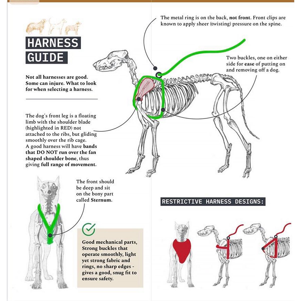 CavalierMatters's tweet photo. Professor Clare Rusbridge recommends that Cavaliers are walked in harnesses (some dogs CM/SM [Syrinogmyelia] are unable to wear a harness). 

#cavalierhealth #chiailikemalfomation #syringomyelia #cmsm #Cavaliers #cavalierkingcharlesspaniel #CKCS https://t.co/U2loxPeT7Y