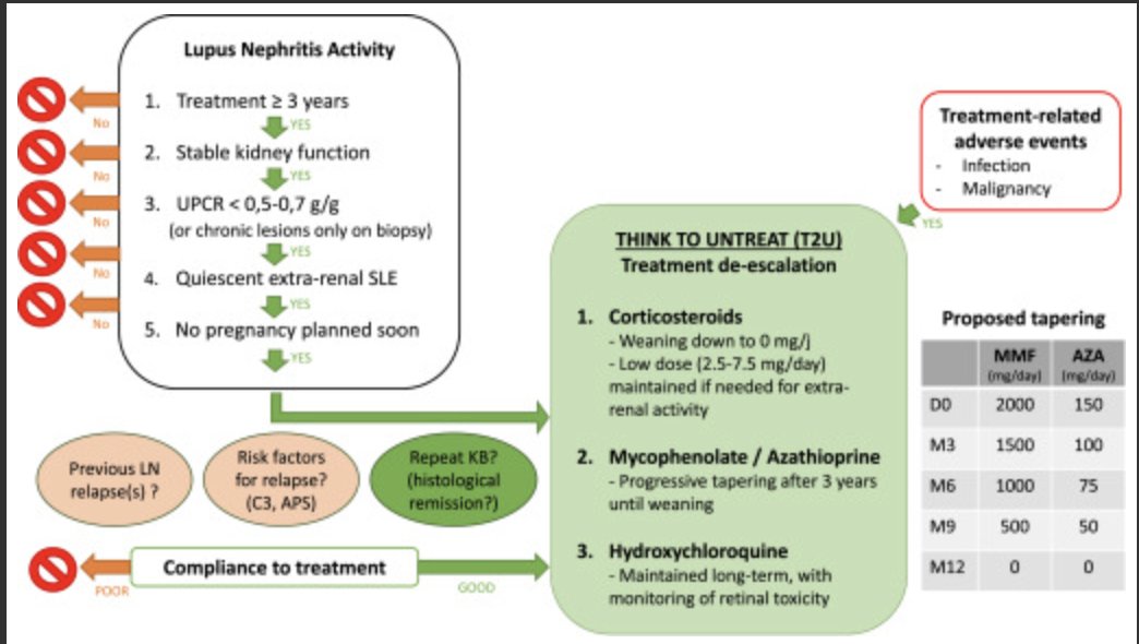 Weaning Maintenance Therapy in Lupus Nephritis: For Whom, When, and How?

doi.org/10.1016/j.ekir…

#KIRReview #LupusNephritis