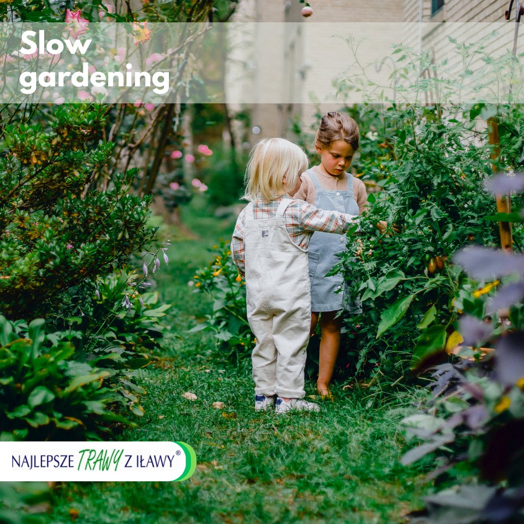 Rolimpex's tweet photo. #Slowgardening to ogrodnictwo uprawiane powoli, "w swoim czasie", bez stosowania sztucznych nawozów i oprysków.
Ogród nie musi być idealny, ma dawać przestrzeń na delektowanie się każdą porą roku, dostrzeganie zmian w przyrodzie i radość z niespiesznego wykonywania prac. https://t.co/AmVUpAuELW