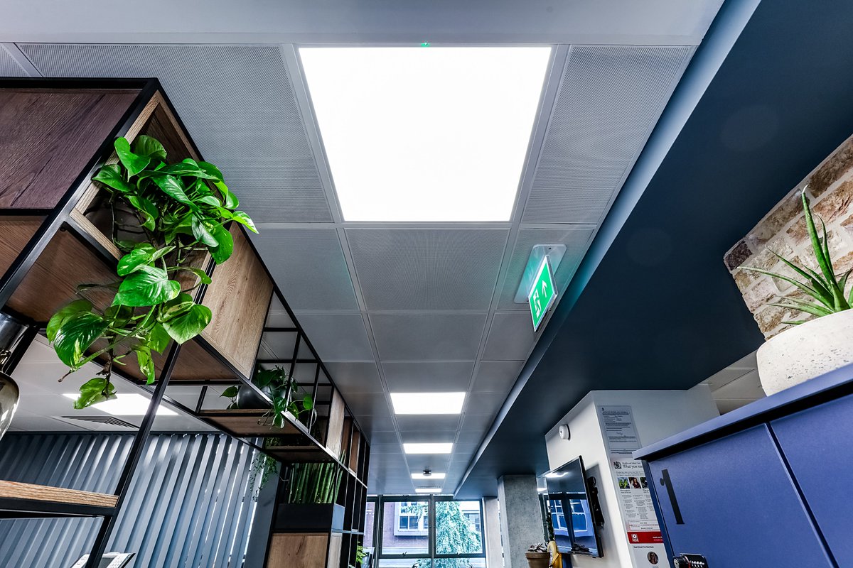 Synergy_Lights's tweet image. Illuminate large spaces efficiently with our LED Panels. They provide uniform and glare-free lighting, making them an ideal choice for commercial interiors.💡 

synergycreativ.com/product-catego…

#LEDPanels #Efficiency #LED #Lighting
