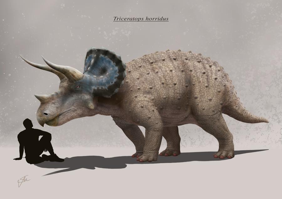 Triceratops horridus 
#paleoart #paleoartist #dinosaur #dinosaurart #illustration #digitalart #painting 🦖