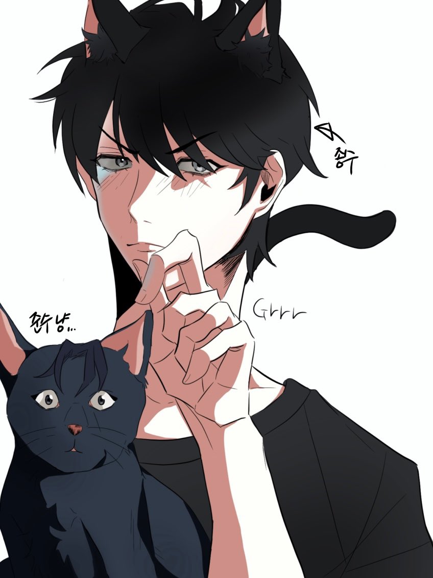 고양이 날 쫑준