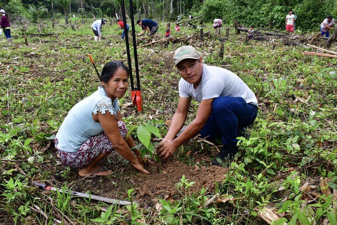 caritas_ci's tweet photo. Heute beginnt in #Belem die #Amazonas-Konferenz. Caritas international fordert: Rechte von indigenen Völkern achten und Raubbau im #Regenwald beenden. Hier geht es zur PM🔽
Details https://t.co/i4QGiyGmY1 via @caritas_ci https://t.co/mel3ToxbXm