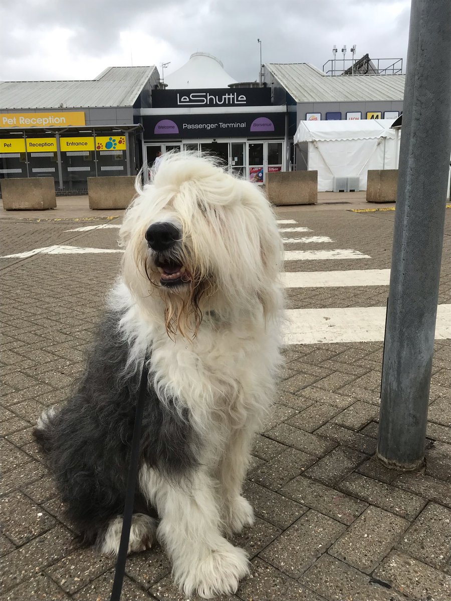 Bon voyage! I’m on my way <a href="/LeShuttle/">LeShuttle</a>. 🇬🇧🚇🇫🇷