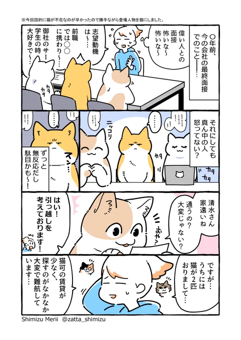転職、最終面接での忘れられない記憶(1/2)
 #世界猫の日 