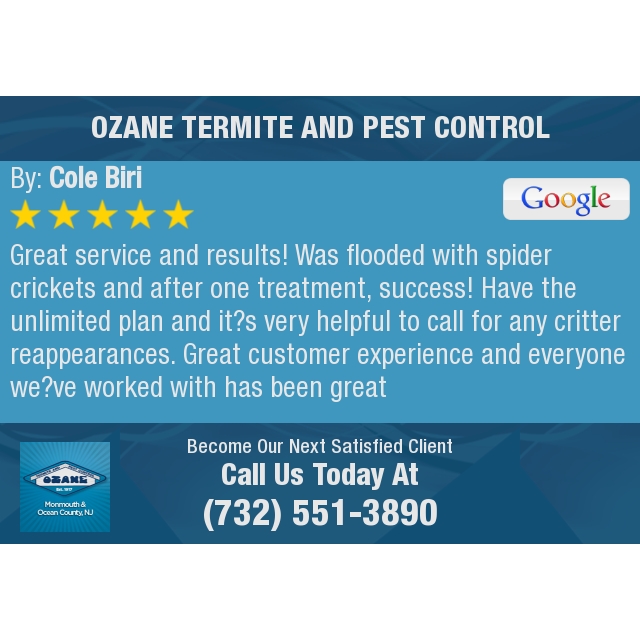 5 Star: Cole B. "Great service and results! Was flooded with spider crickets and after one treatment,..." MISSING_ARG_ACCESS_TOKEN