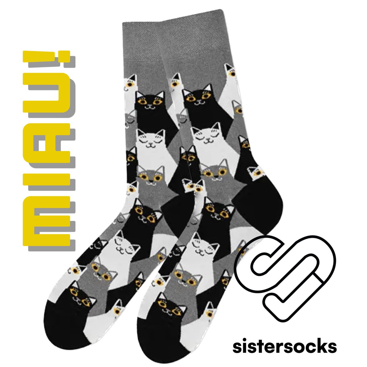 sister_socks's tweet photo. Hoje é o Dia Internacional dos gatos! Tens um gatinho? Dá um RT com a foto do teu bichano! ❤️😻
#InternationalCatDay #TwitterSocks #MeiasTwitter #DiaInternacionaldoGato https://t.co/toLfKp6B2v