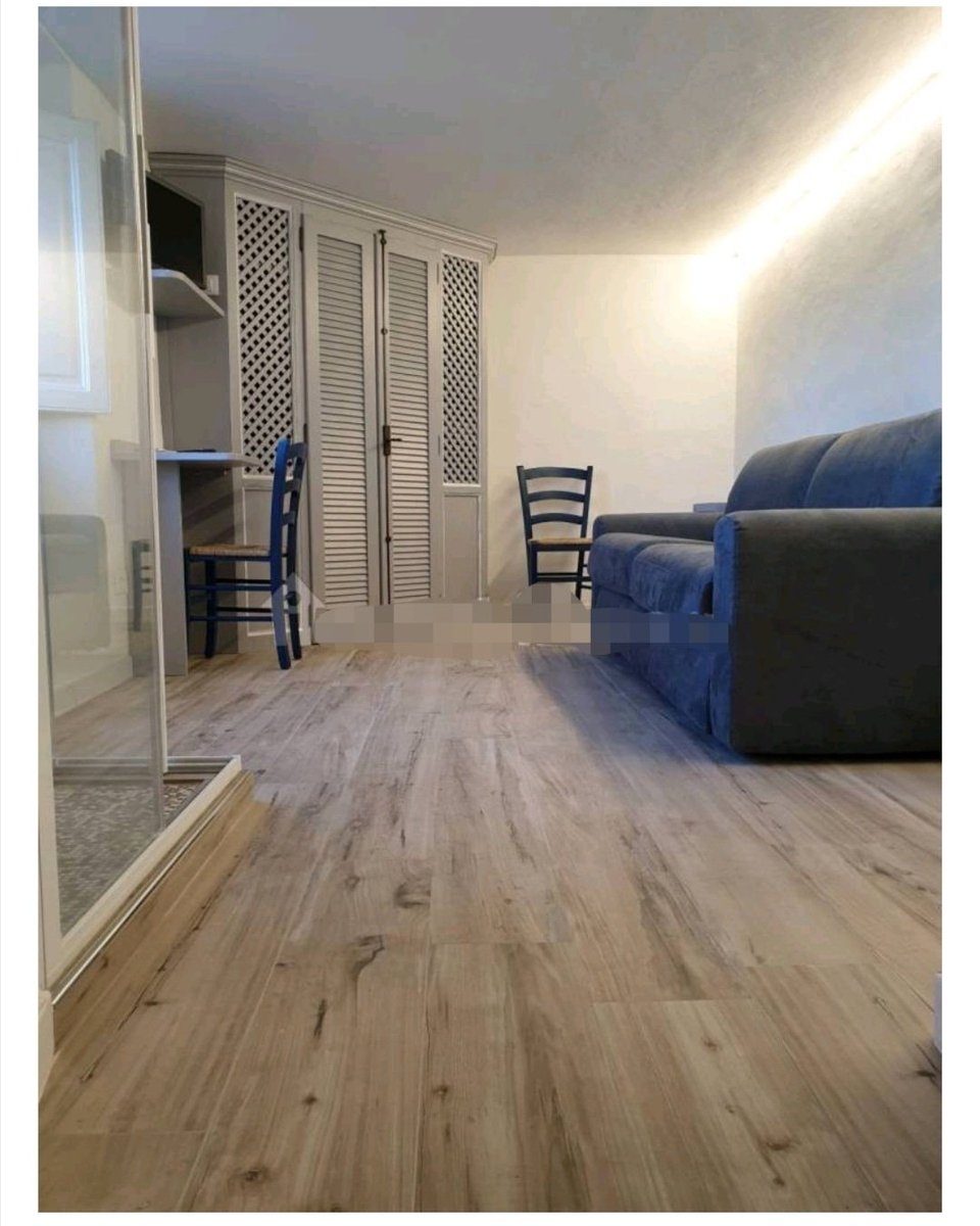 Firenze, 750 euro vicino Ponte alla Vittoria. Pregevole monolocale con angolo cucina, armadio a muro, bagno cieco ma con doccia in salotto/camera da letto 😂