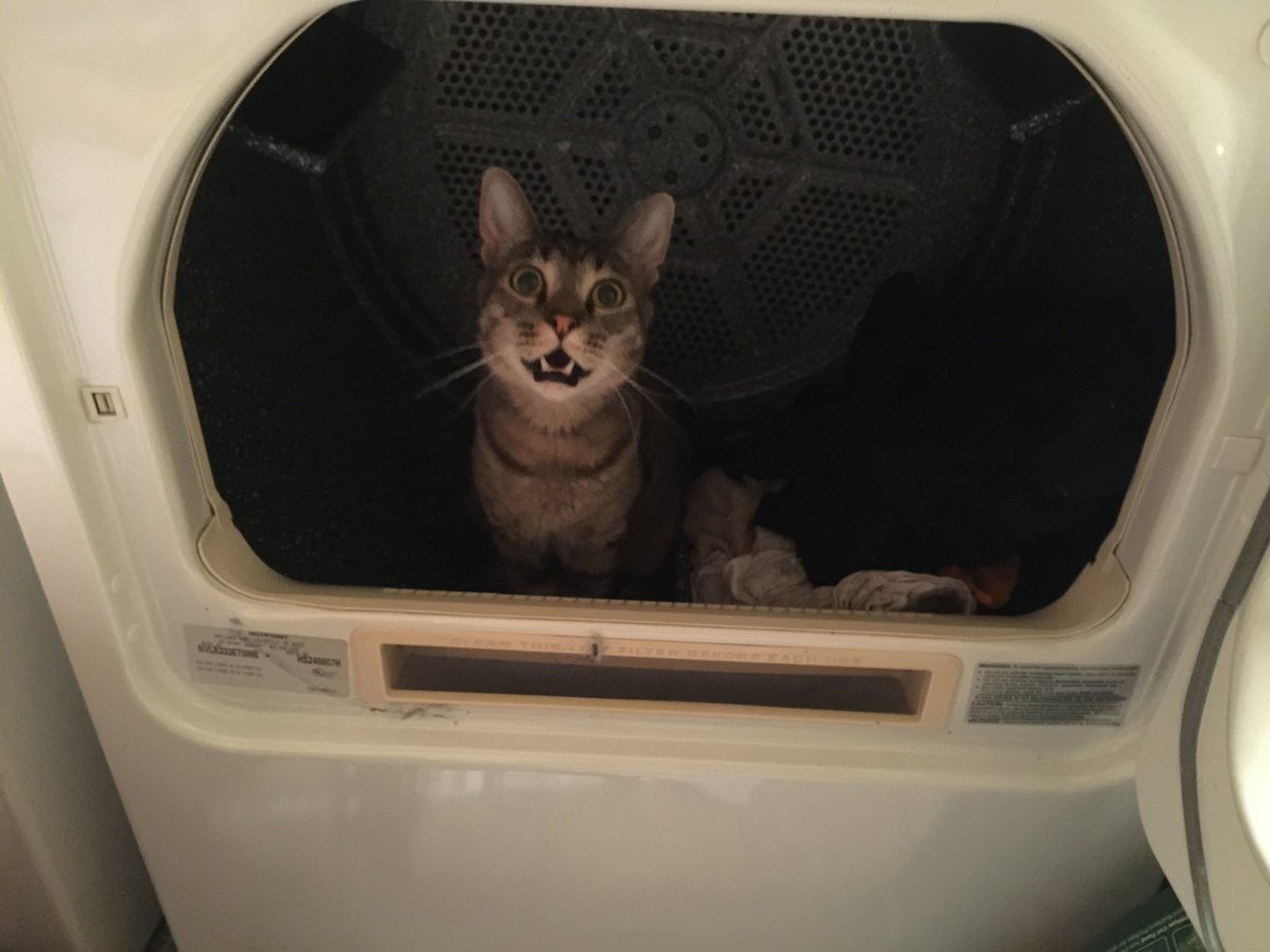 BullwarkTV's tweet image. #upwithkrem