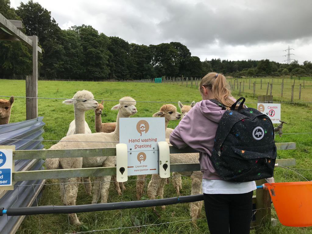 Forrester Equalities tweet media