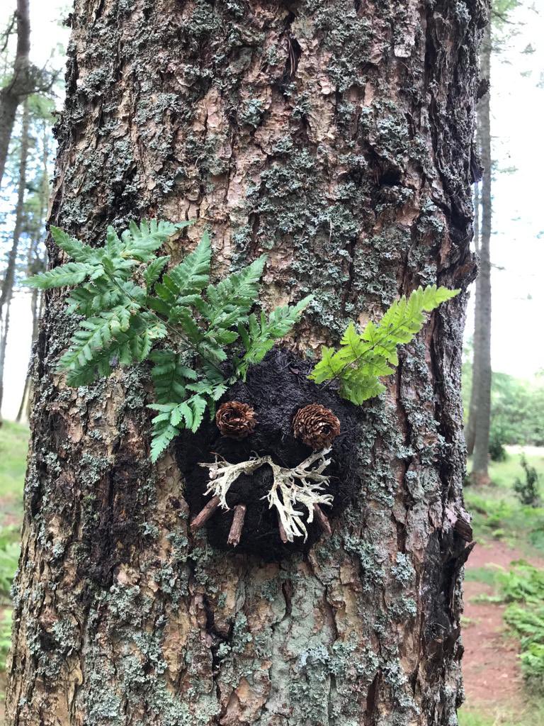 P7 transitions with Greenshoots at Bonaly