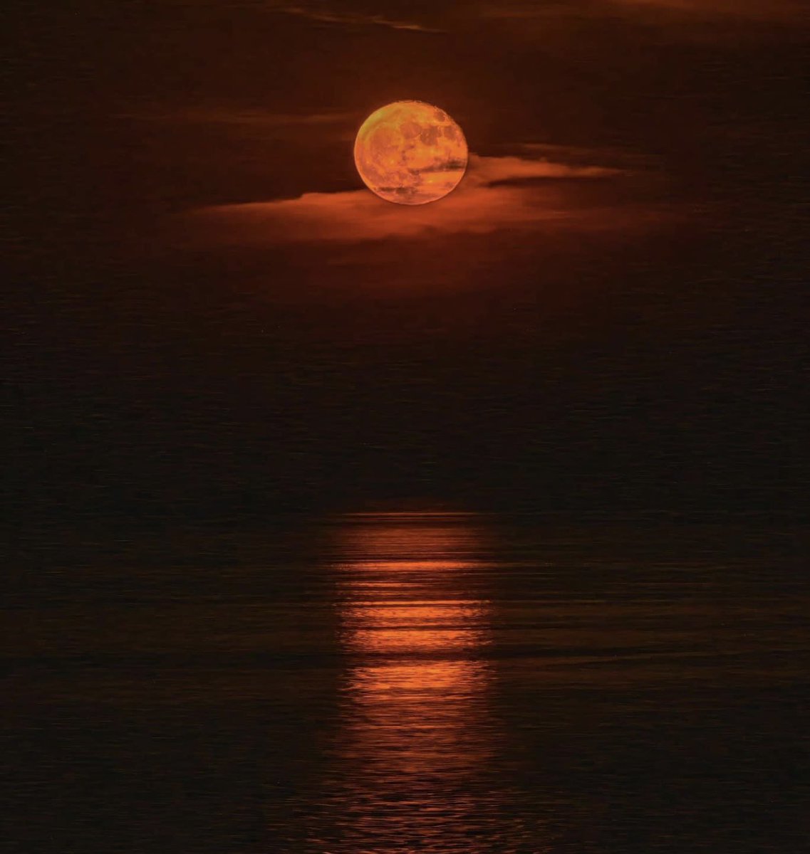 Barbara52744094's tweet image. hubris of midnight 
radiant glow in night sky
moons ironic pride 

#vss365 #hubris 
#brknShards #ironic 
#haiku 
#WritingCommmunity 
Photo:Brent Williams