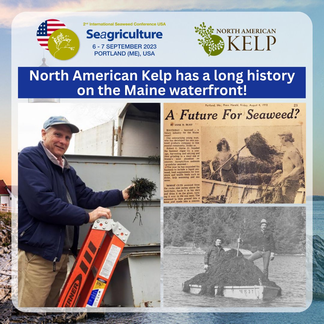 SeAgriculture's tweet photo. Over the past 50+ years, North American Kelp, now the Gold Sponsor of #SEAGRI23USA, has become a trusted supplier of high-quality seaweed products both domestically and internationally. Cheers to the next 50 years!

More info at https://t.co/Ysfz4kOTLJ

#scienceandenvironment https://t.co/Vosf8OWokC