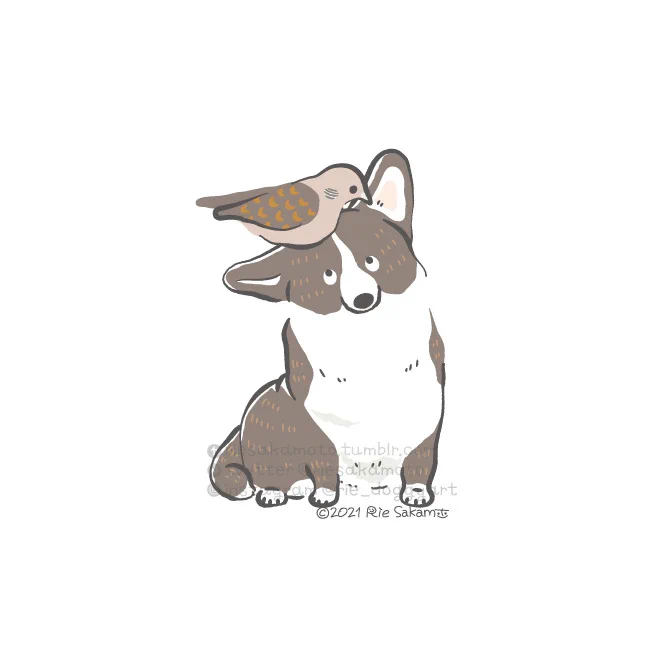 鳩の日のコーギーと鳩たち #鳩の日 #ハトの日