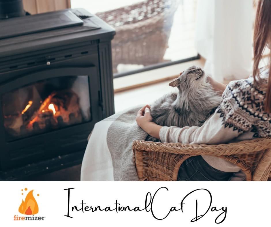 It's #InternationalCatDay 🐈 I bet this is the scene in many homes recently, seeing as Summer forgot to turn up this year! 🤔 #Logburner #Firemizer #whereissummer