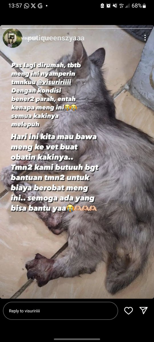 xbananamilkx's tweet photo. Halo temen-temen semua, assalamualaikum.
 
Sebelumnya aku mau cerita dulu, mohon maaf kalo pict nya agak dusturbing.
Jadi temenku kemarin toba2 didatengin sama stray cat, dengan kondisi yang udah parah. Jalan nya pincang kadang diseret, Kaki belakang abses, bengkak, bau kyk gini https://t.co/EKsNQ32cMp
