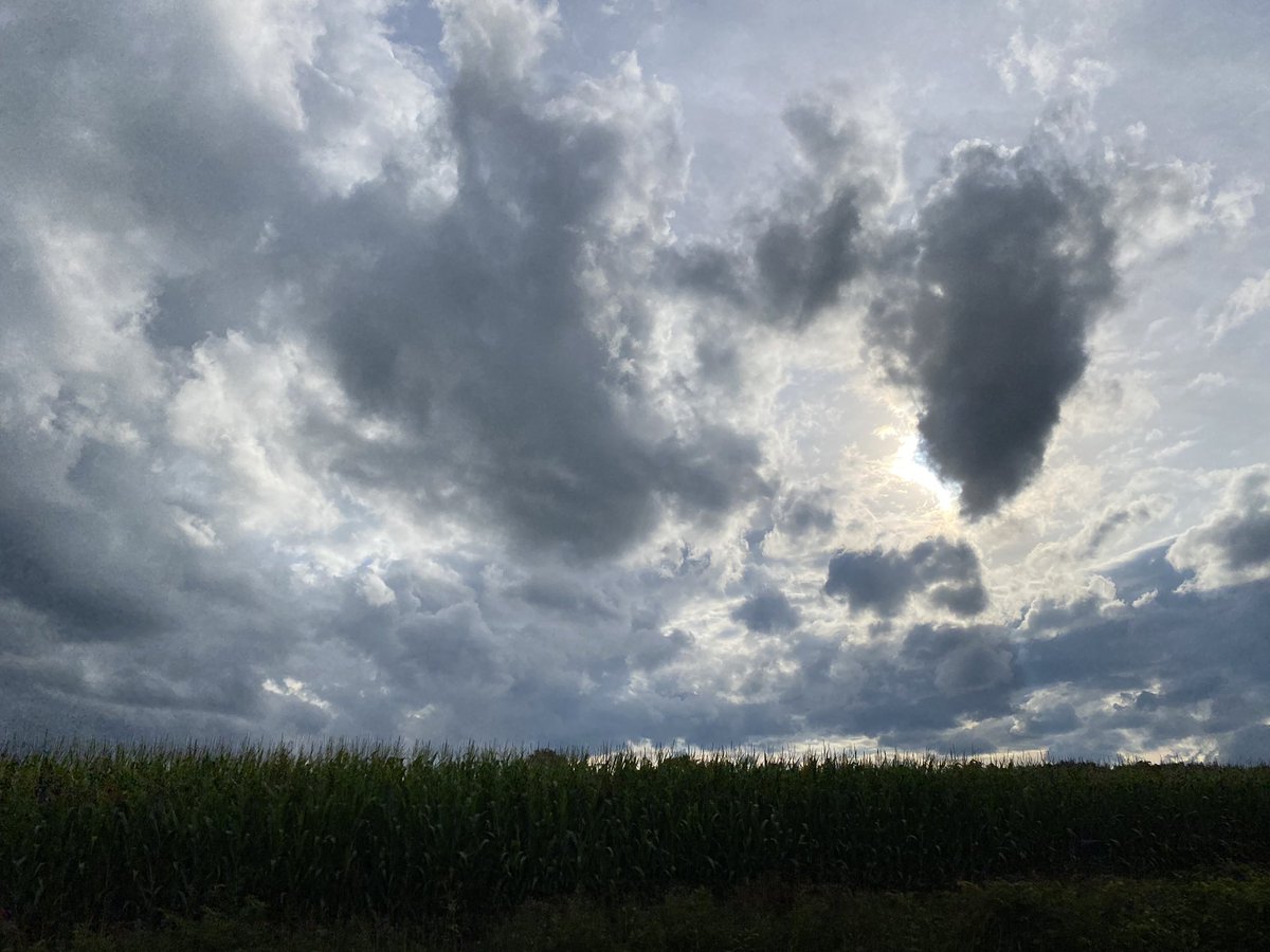 pondaroski's tweet photo. 20230807 Afternoon Thunder Storms & Alto Cumulus Clouds In A Passing Random Rural Landscape, Ovid, NY. Z.
#driven
#passinglandscape
#afternoonlight
#altocumulusclouds
#randomrurallandscape
#summer
#august
#coincidentaltourist
#JoeZBigAdventure
#pondaroski
#JoeZiolkowski https://t.co/8LFzoOHU1L