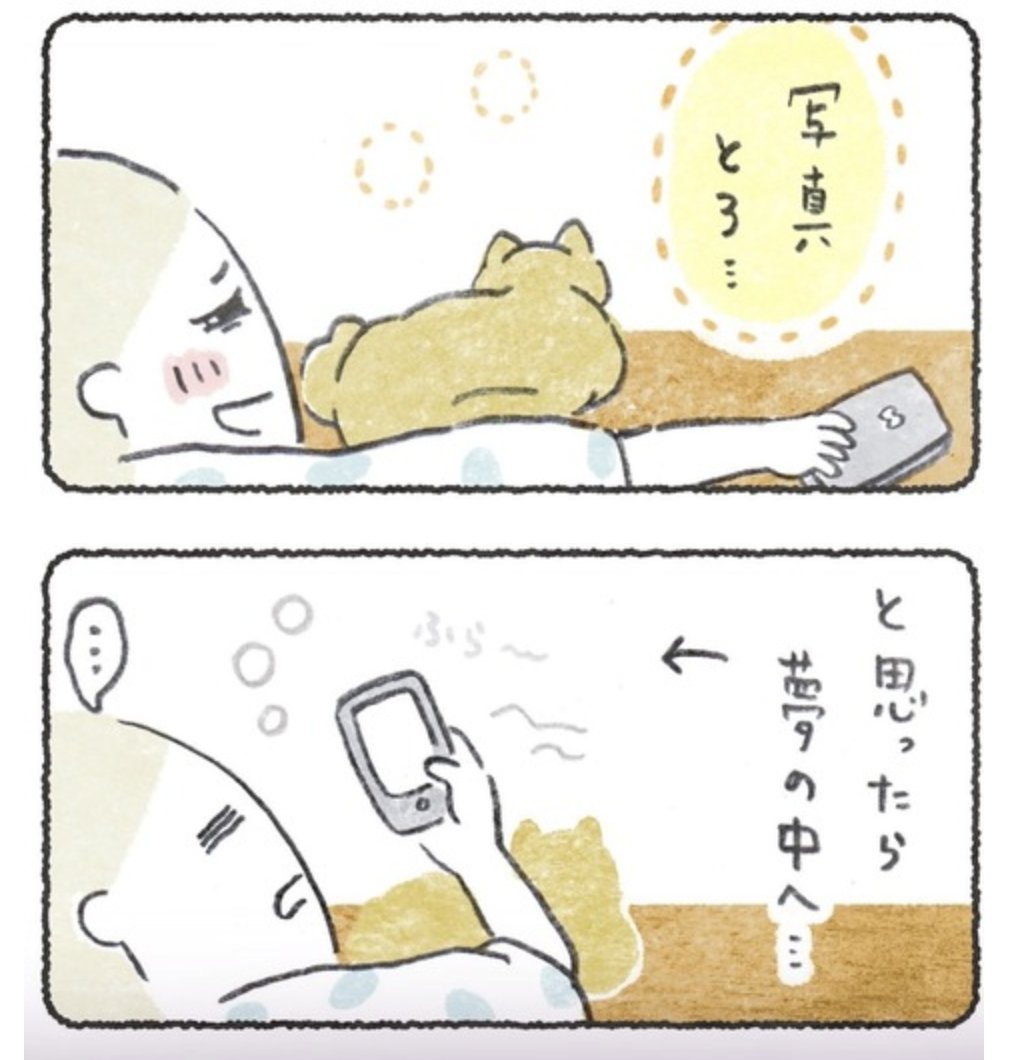 犬が横に来たら夢の中へ・・・😴 な話→  (この、犬のうしろ肉がたゆってる所お気に入り😊急なフェチッッ!!!!!!)
