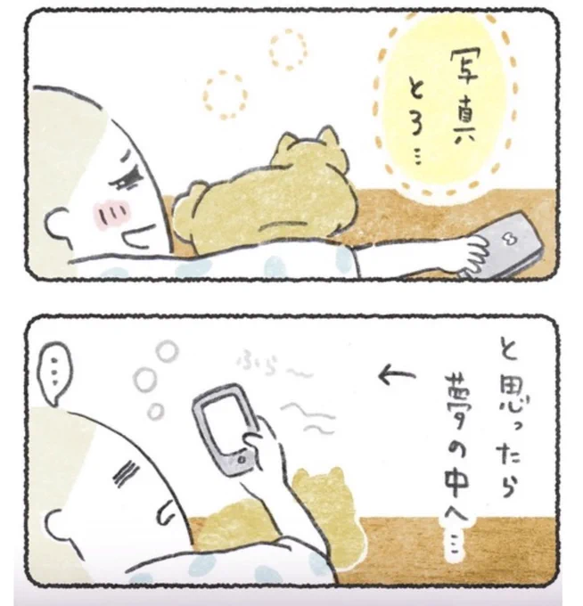 犬が横に来たら夢の中へ・・・😴 な話→  (この、犬のうしろ肉がたゆってる所お気に入り😊急なフェチッッ!!!!!!)