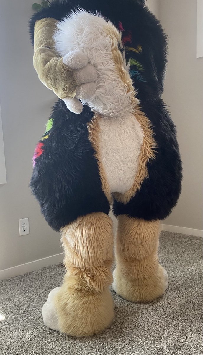Stinky_Shiba's tweet photo. Come give it a kiss~

#fursuitbutt
#fursuit
#butt https://t.co/Z7c44woRyz