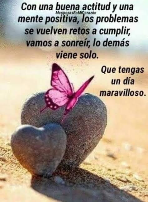 Excelente y bendecido día ✨🙏❤️💯