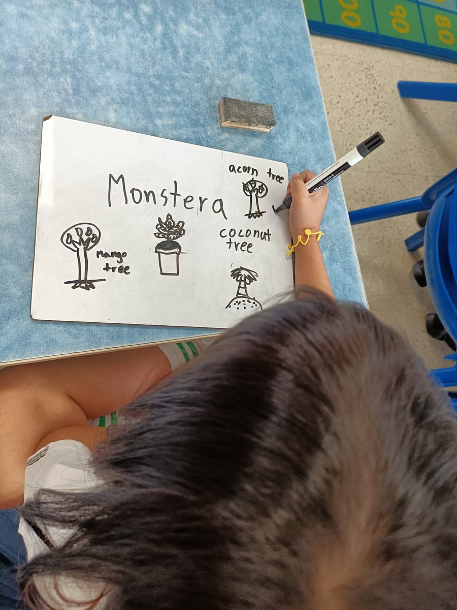 aditisabarwal13's tweet image. Building on students&apos; prior knowledge to teach them something new. Watched @DrishtiChopra16 in action with our Year 3 students, learning about plants. Find our MLL&apos;s illustrations next to their responses! @TBS_Delhi

#ks2 #sciencemadefun #multilinguallearners