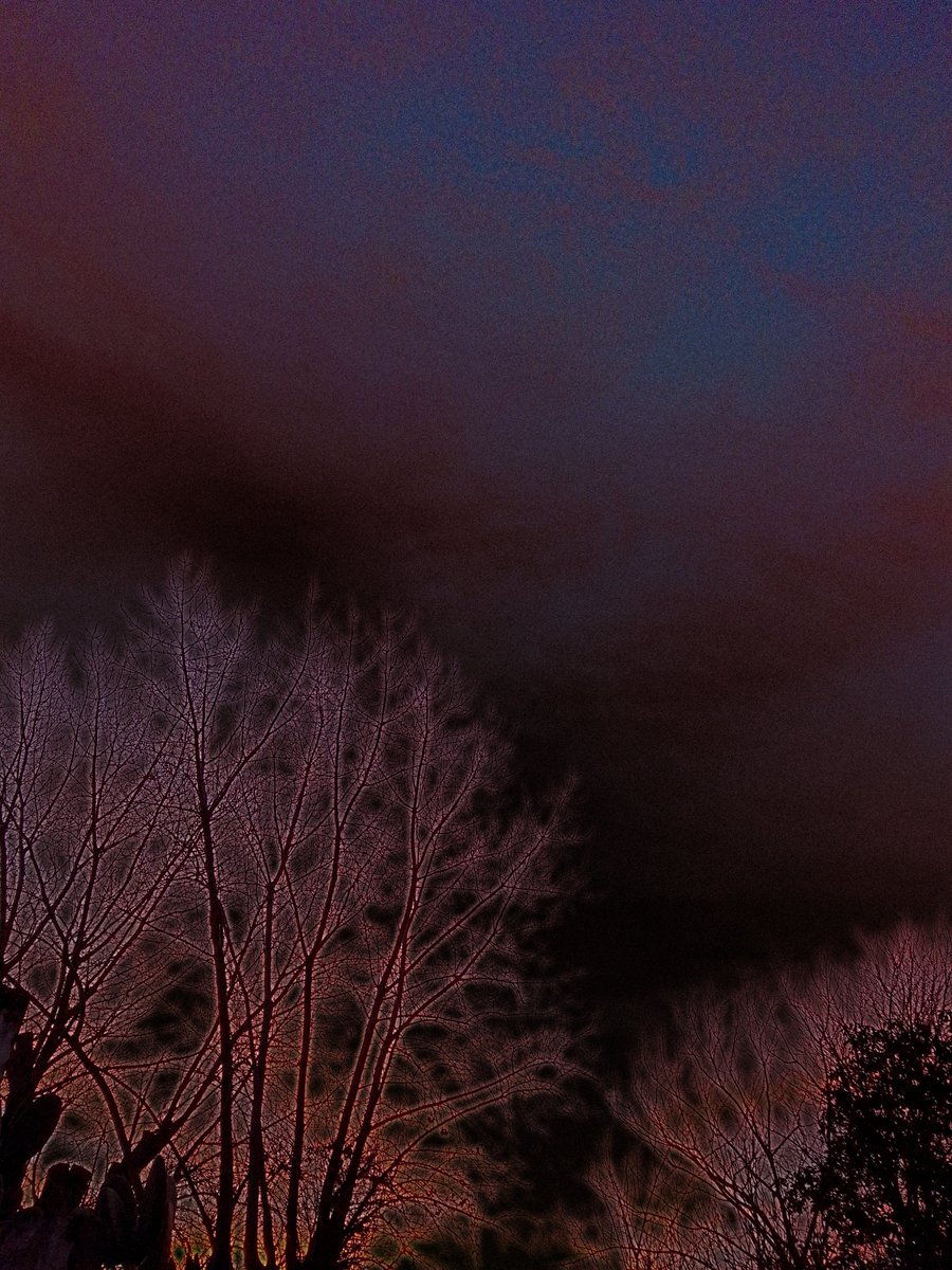 fernand39063641's tweet photo. For you nature! 🌳
https://t.co/qMEYGBft4O
#NFTCommunity #NFTs #NFTartist #NFT #HyperCoonNFT #NFTImpact #NFTCollection https://t.co/yjyjauSVfX