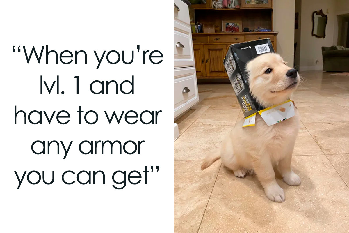 Nothing worse than joining your crew later and looking like the noob!! 

#gaming #gamingcommunity #gamer #gamergirl #gamerguy #gamers #noob #gamingfail