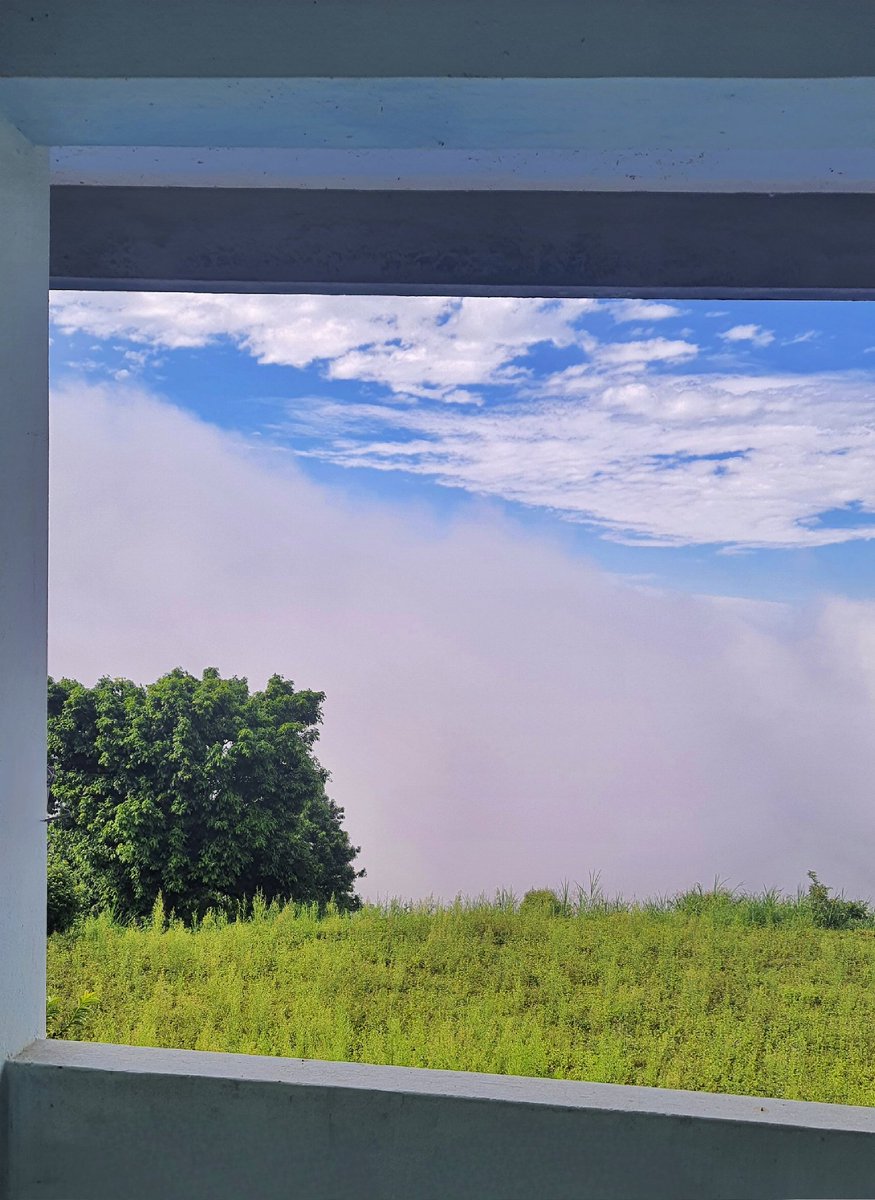 docSubaash's tweet image. While I was working on my desk today, I suddenly gaze out of the window, and there was one of the most picturesque views that felt like a painted canvas. We often get carried away by our daily chaos and miss most of the blissful offerings nature offers every day.
Pause &amp;amp; observe.