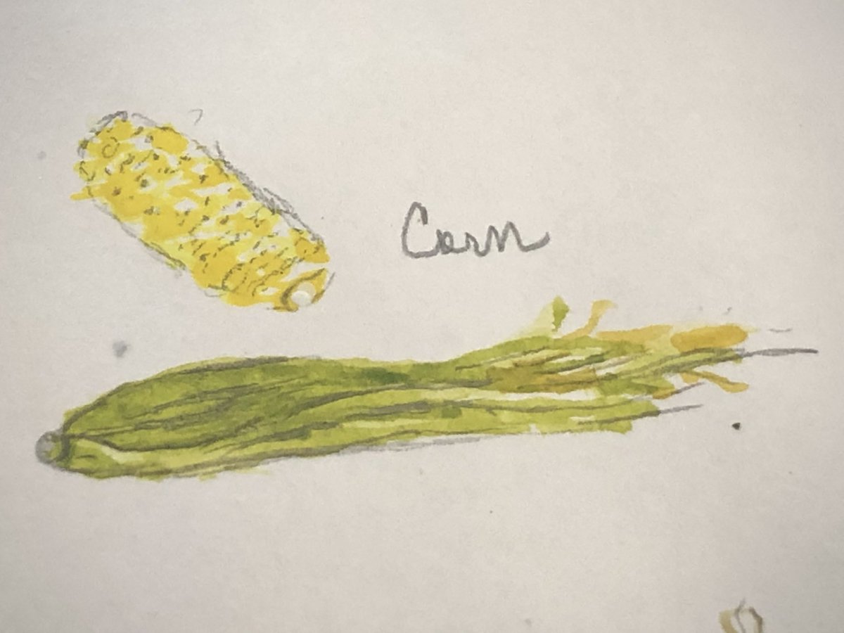TarotStuff's tweet photo. ✨The produce section of my little art book, part II…❤️✨
#withlovefromtwonygirls ❤️🐾 #Produce #ProduceSection #PartTwo #Blueberries #Corn #Oranges #Potatoes #Peppers #Cantaloupe #Watercolor #Pencil #Art #NY https://t.co/iAS00oLFfV