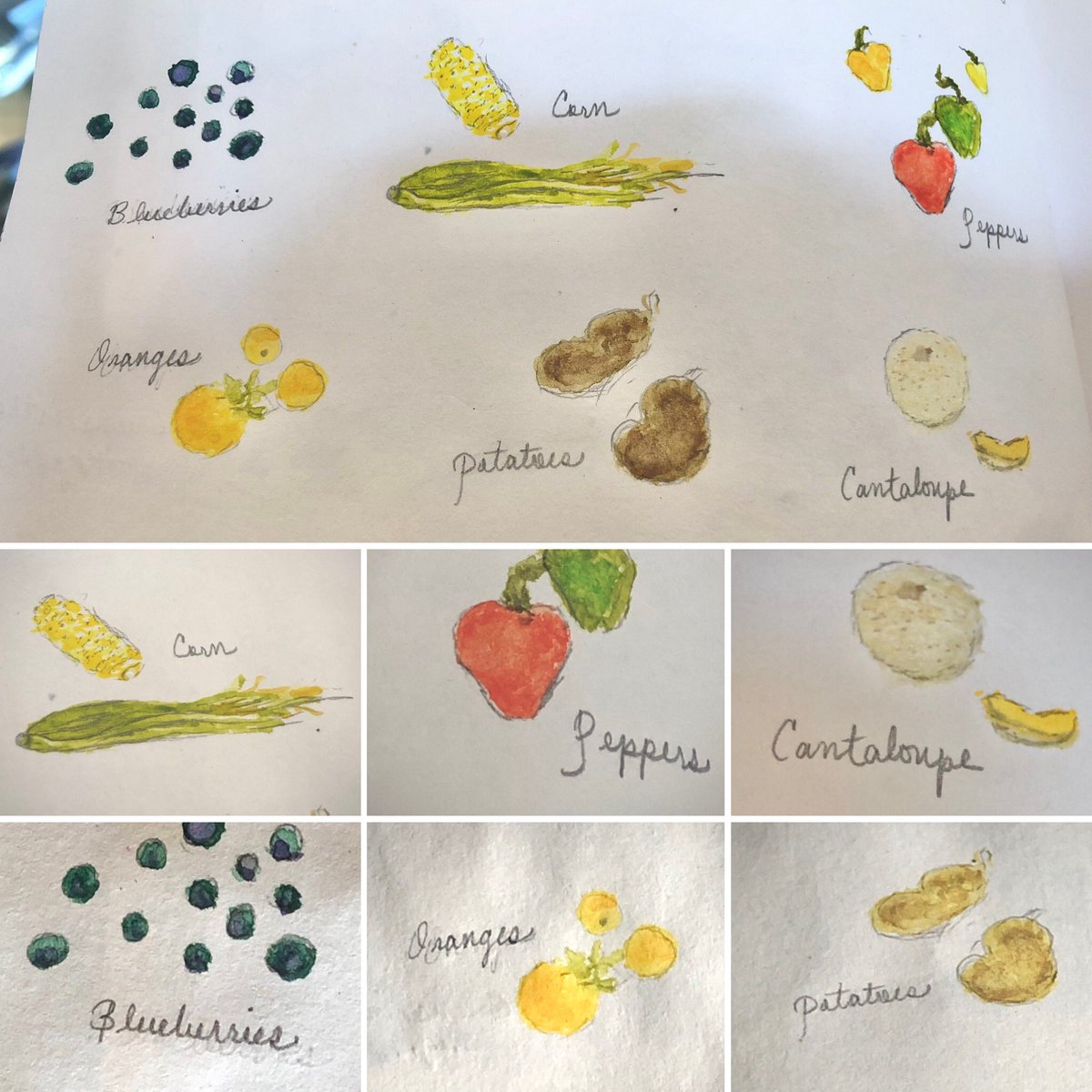 TarotStuff's tweet photo. ✨The produce section of my little art book, part II…❤️✨
#withlovefromtwonygirls ❤️🐾 #Produce #ProduceSection #PartTwo #Blueberries #Corn #Oranges #Potatoes #Peppers #Cantaloupe #Watercolor #Pencil #Art #NY https://t.co/iAS00oLFfV
