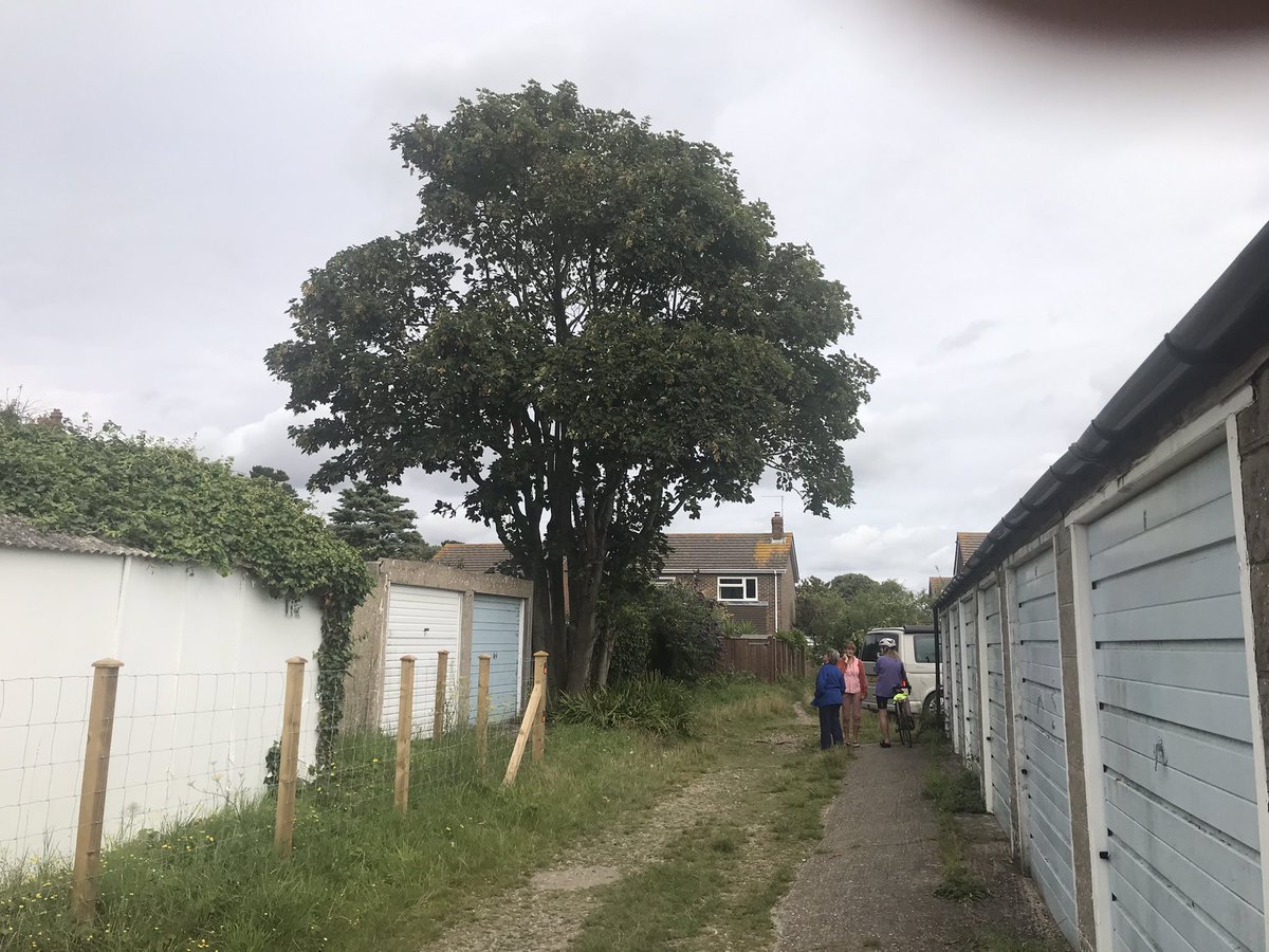 WrenBird01's tweet photo. Going going gone! Mature tree in heart of #kingsdown community cut down for one person’s sea view. Agreed by DDC. Tree surgeon said need for #netzero doesn’t exist What #climateemergency. Neighbours distraught at loss. @dover_labour @GreensDoverDist @Kent_Online https://t.co/4WE1toR1Bc