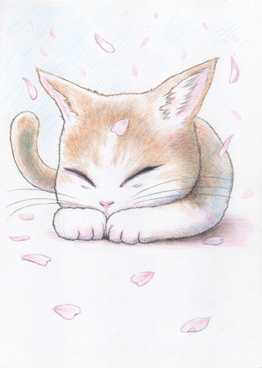 「続いて春、春4月さくらシーズン、5月こいのぼりシーズンの猫さん #色鉛筆画 #世」|貴房のイラスト