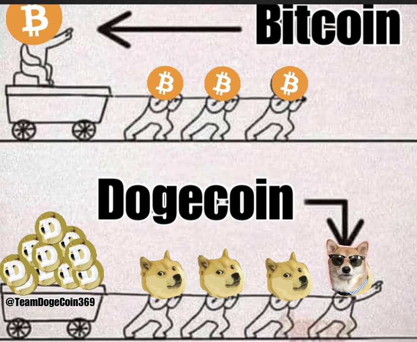 #TeamÐogeCoin tweet media