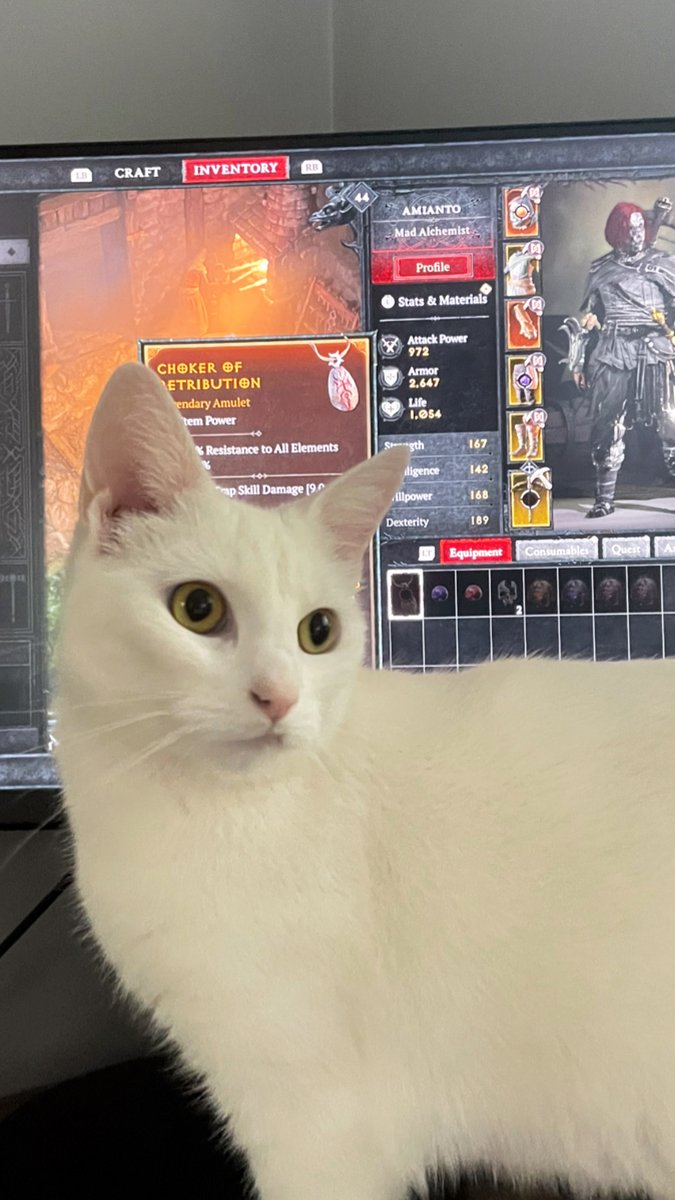 Studiotypes tweet media