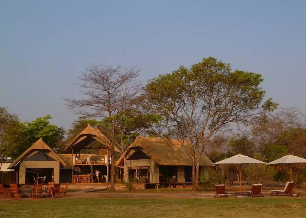 Elephant Eye 👁️ Tented Camp
📌 #HwangeNP