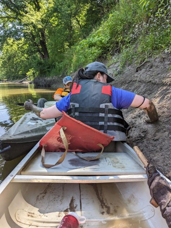 BloomerCaitlin's tweet photo. #CrayWeek Day 2! 

My research focuses on burrowing crayfish. These animals can create impressive burrows that make them very tough to sample. 
Luckily I love playing in the mud as my job! 🦞 https://t.co/2sRi9pQC70