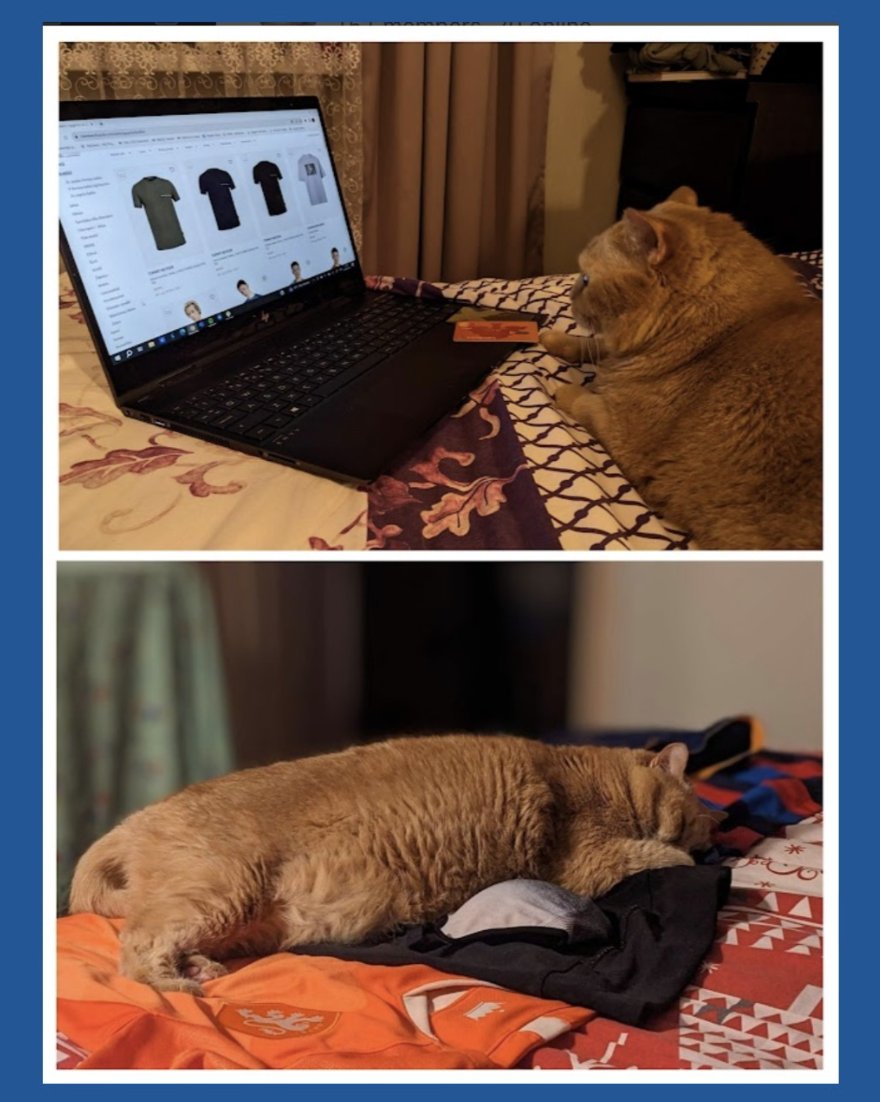 ECOMMPAY tweet media