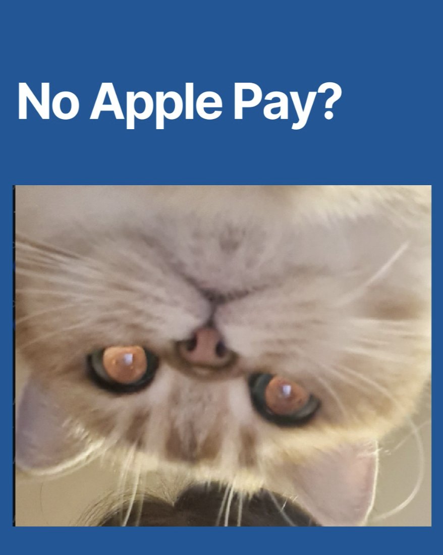 Watch out! Cats are taking over today to showcase the purr-fect harmony between work and play 😸 #InternationalCatDay #CatsOfTwitter